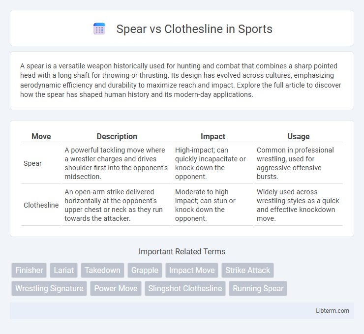 Clothesline vs Spear in Sports - What is The Difference?