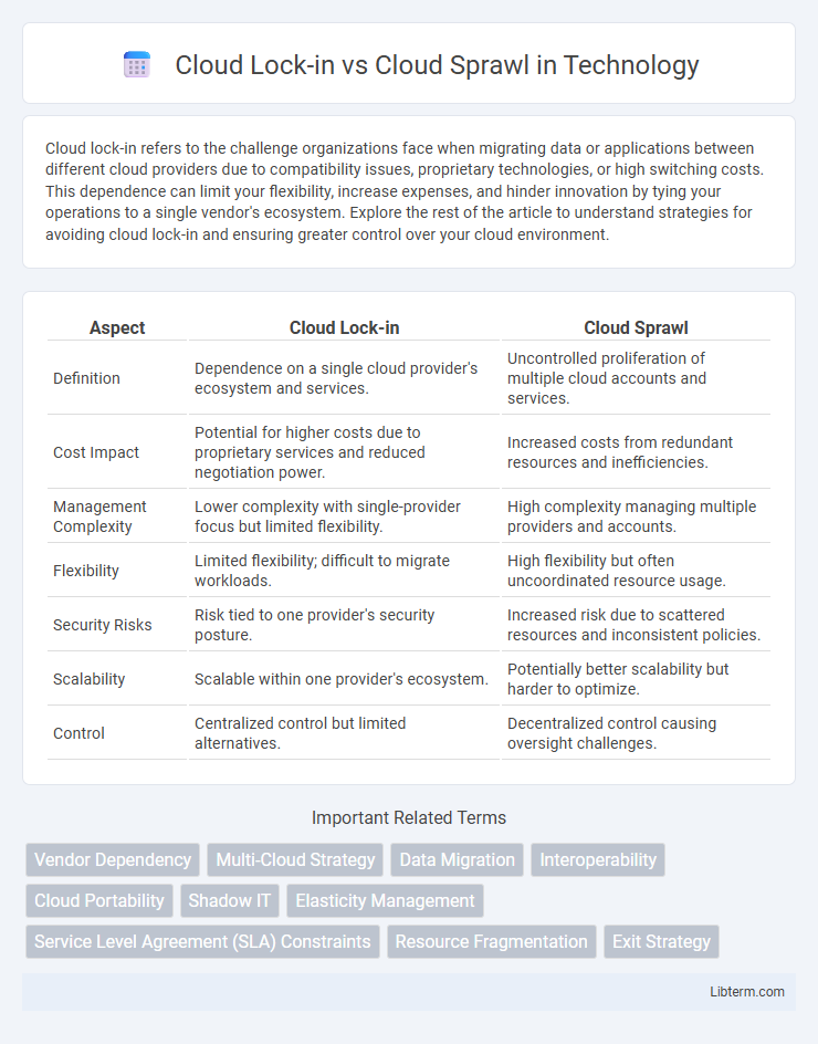 Cloud Sprawl vs Cloud Lock-in in Technology - What is The Difference?