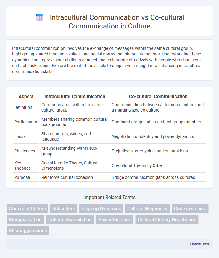 Co-cultural Communication vs Intracultural Communication in Culture - What is The Difference?