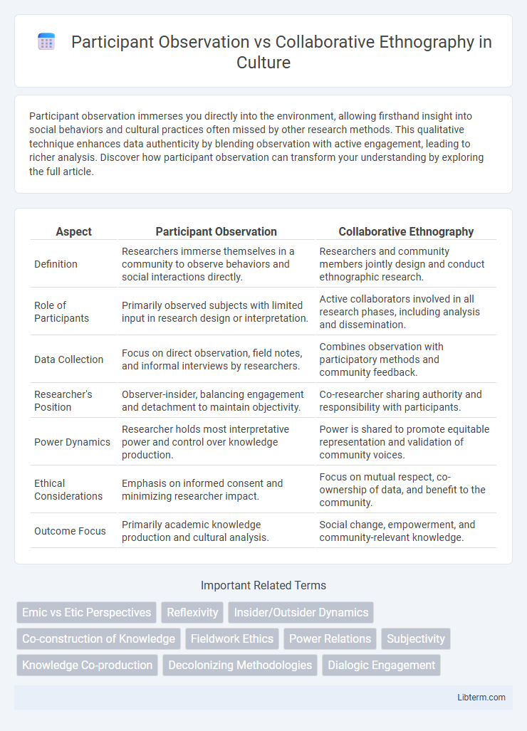Collaborative Ethnography vs Participant Observation in Culture - What is The Difference?