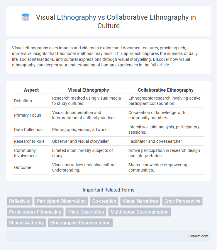 Collaborative Ethnography vs Visual Ethnography in Culture - What is The Difference?