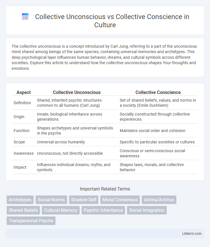 Collective Conscience vs Collective Unconscious in Culture - What is The Difference?