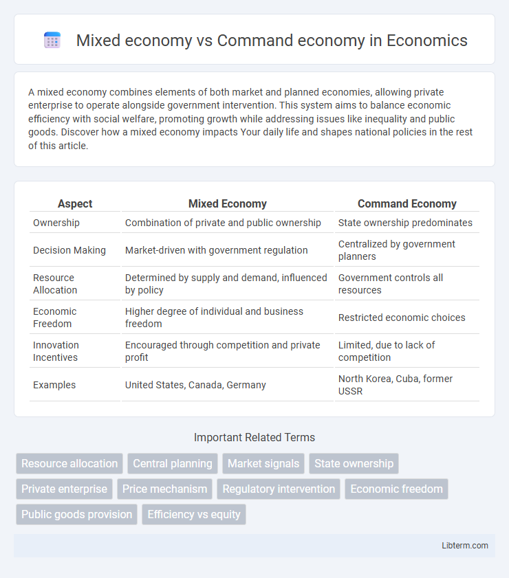 Command economy vs Mixed economy in Economics - What is The Difference?