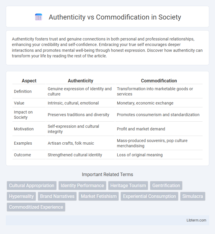 Commodification vs Authenticity in Society - What is The Difference?