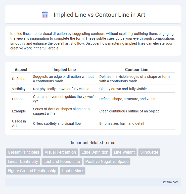 Contour Line vs Implied Line in Art - What is The Difference?