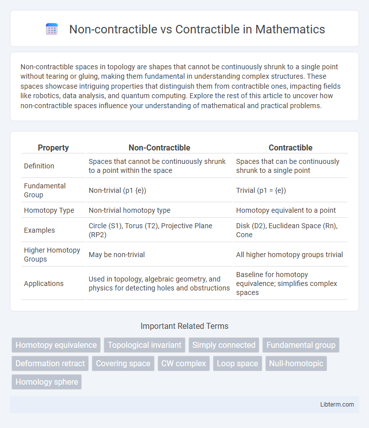 Contractible vs Non-contractible in Mathematics - What is The Difference?