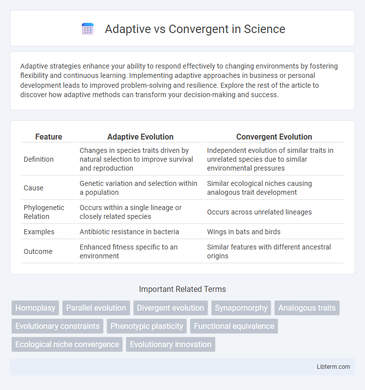 Convergent vs Adaptive in Science - What is The Difference?