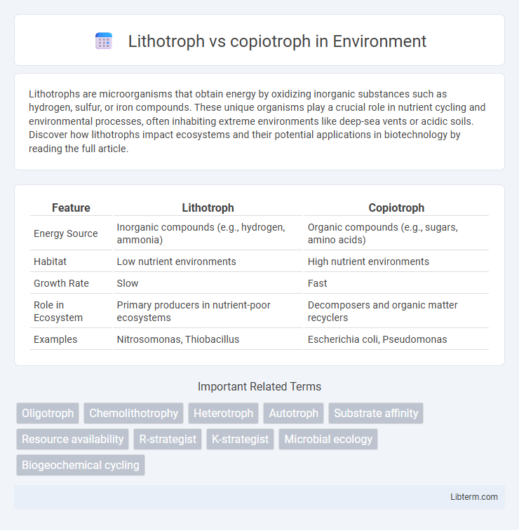 copiotroph vs Lithotroph in Environment - What is The Difference?