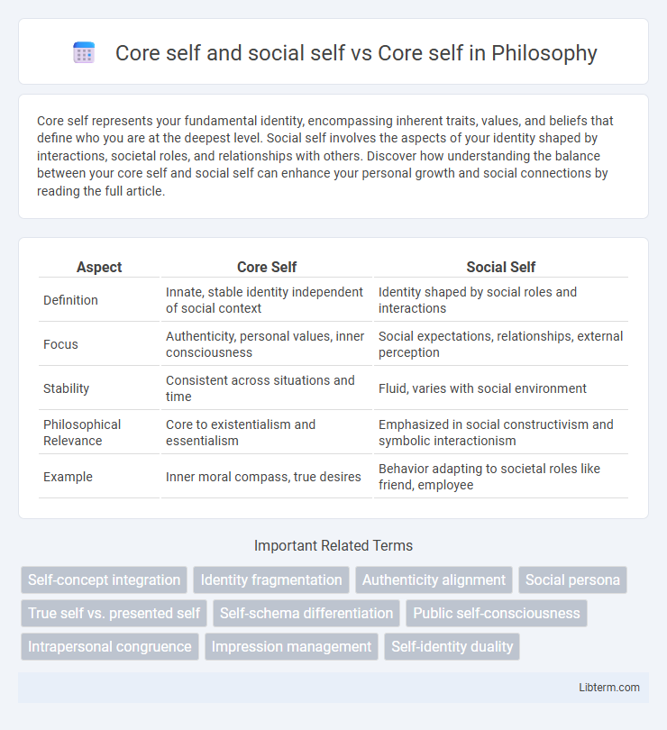 Core self vs Core self and social self in Philosophy - What is The Difference?
