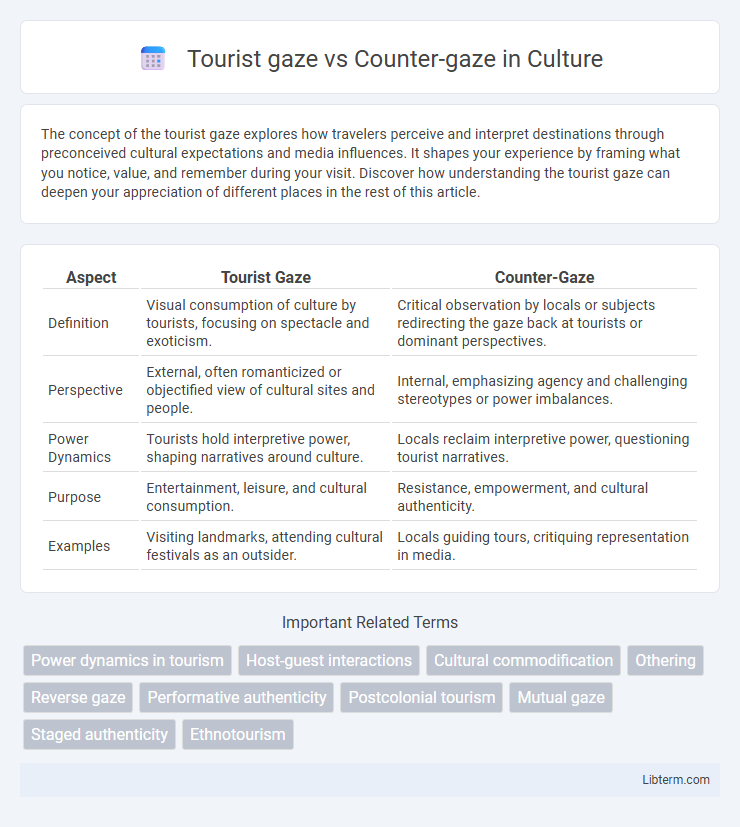 Counter-gaze vs Tourist gaze in Culture - What is The Difference?