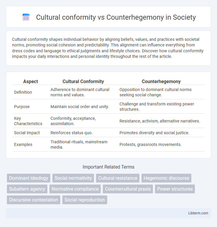 Counterhegemony vs Cultural conformity in Society - What is The Difference?