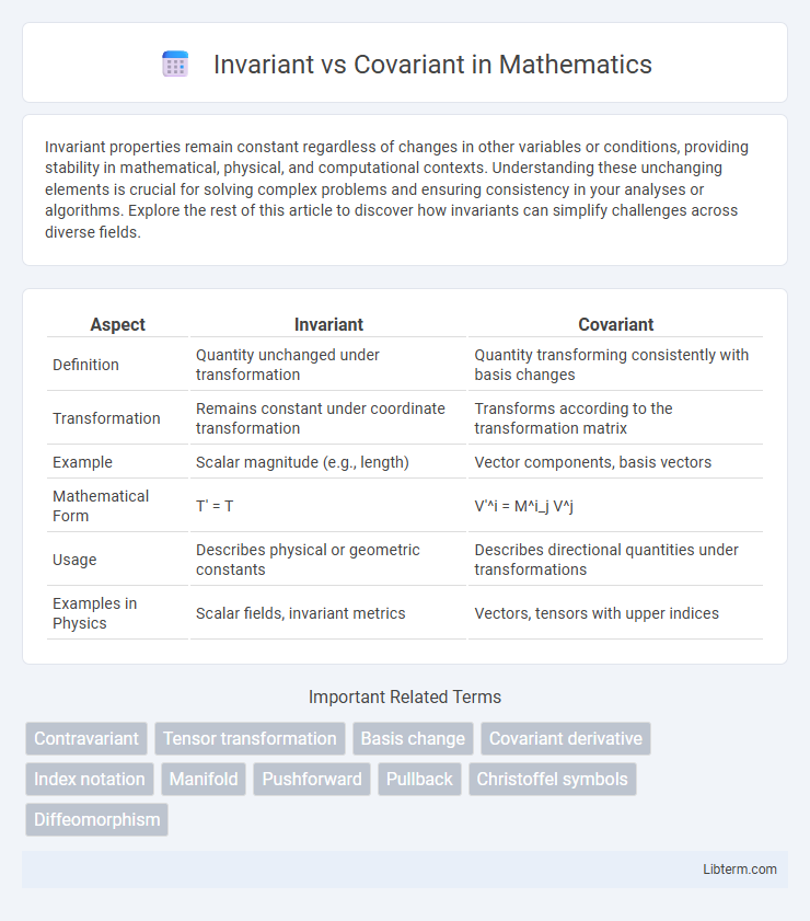 Covariant vs Invariant in Mathematics - What is The Difference?