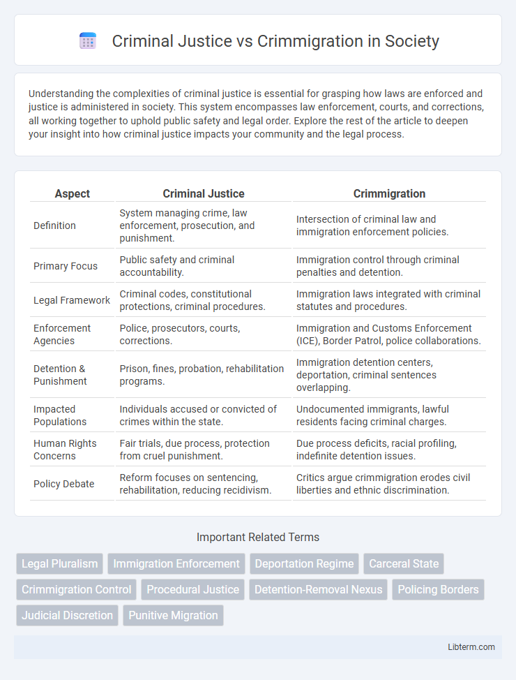 Crimmigration vs Criminal Justice in Society - What is The Difference?