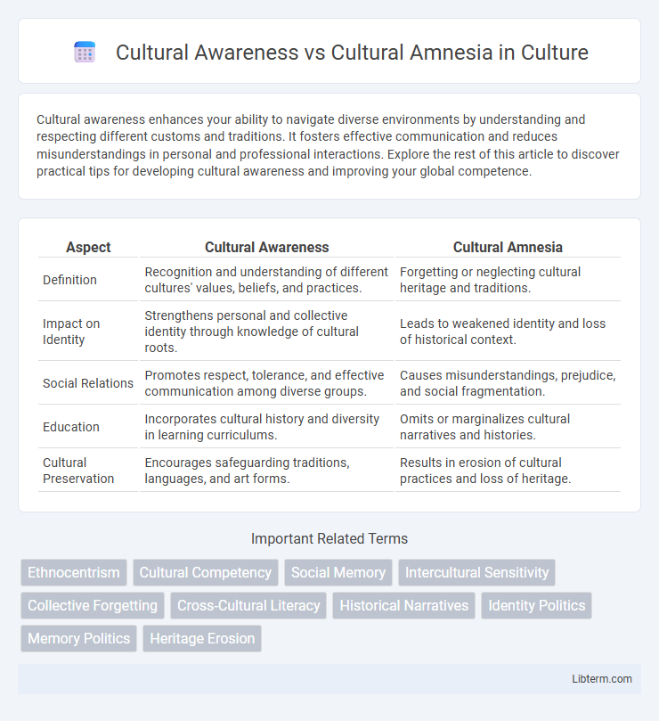 Cultural Amnesia vs Cultural Awareness in Culture - What is The Difference?