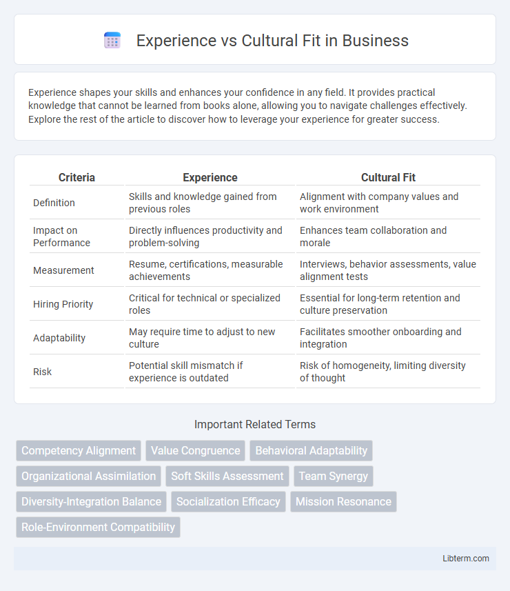 Cultural Fit vs Experience in Business - What is The Difference?