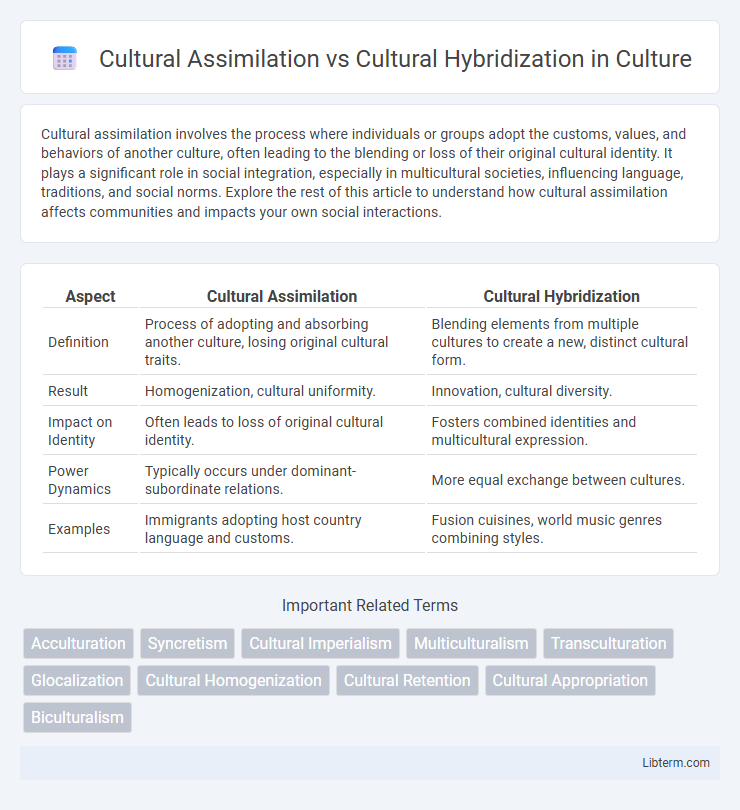Cultural Hybridization vs Cultural Assimilation in Culture - What is The Difference?