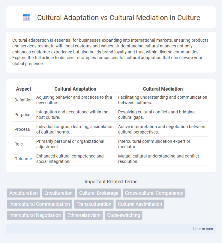 Cultural Mediation vs Cultural Adaptation in Culture - What is The Difference?