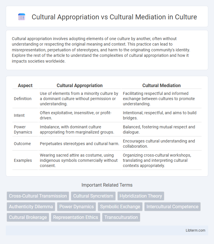 Cultural Mediation vs Cultural Appropriation in Culture - What is The Difference?