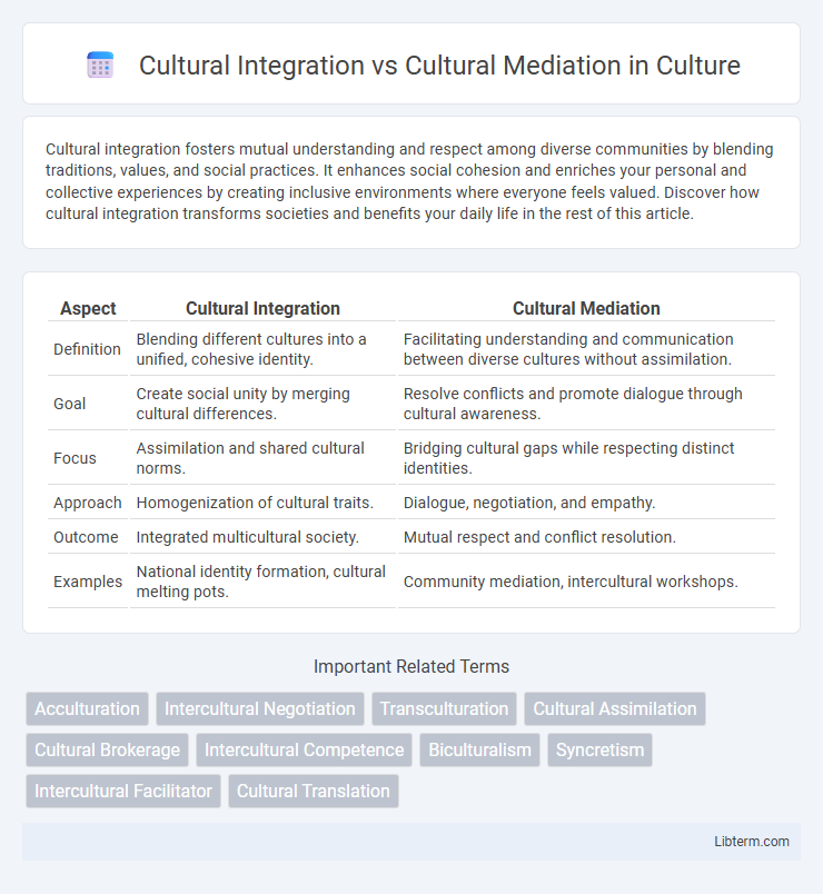 Cultural Mediation vs Cultural Integration in Culture - What is The Difference?