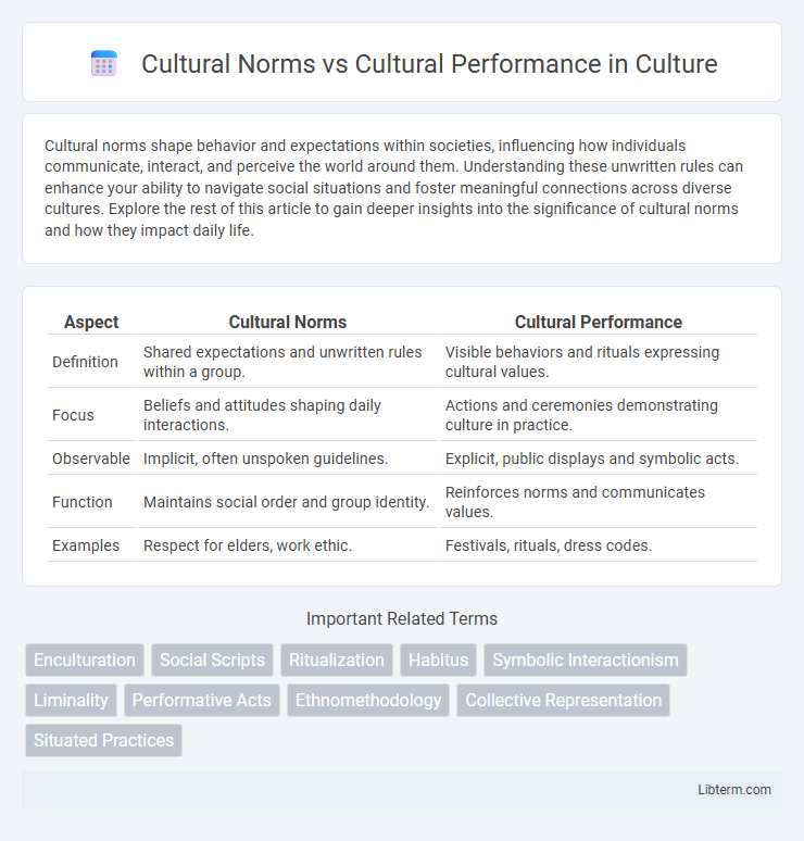Cultural Performance vs Cultural Norms in Culture - What is The Difference?