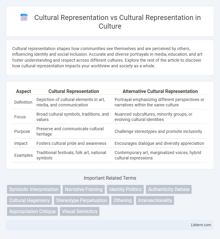 Cultural Representation vs Cultural Representation in Culture - What is The Difference?