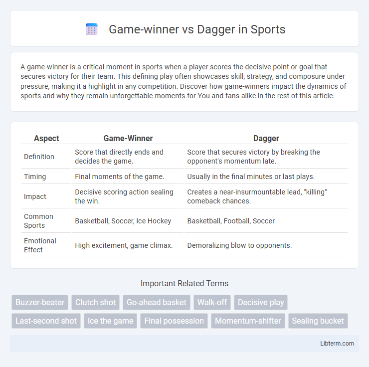 Dagger vs Game-winner in Sports - What is The Difference?