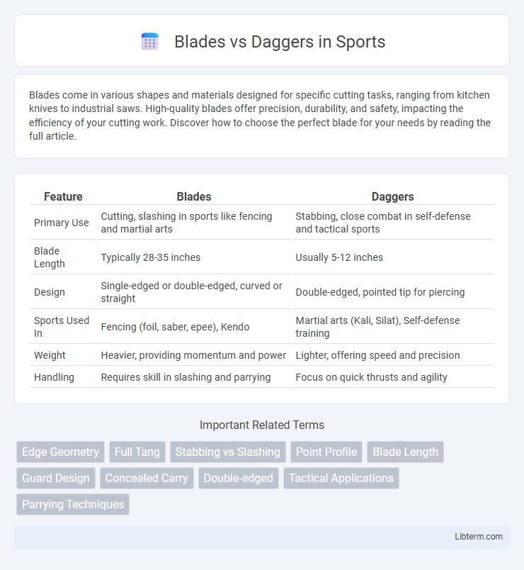 Daggers vs Blades in Sports - What is The Difference?