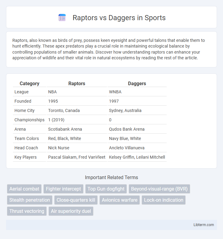 Daggers vs Raptors in Sports - What is The Difference?