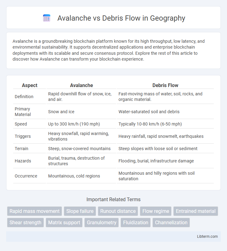 Debris Flow vs Avalanche in Geography - What is The Difference?