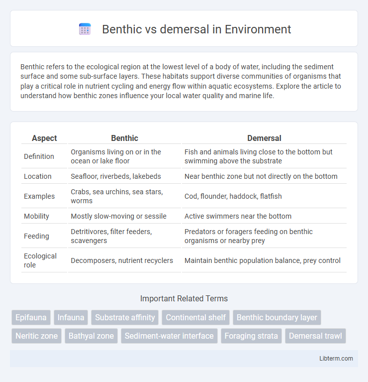 demersal vs Benthic in Environment - What is The Difference?