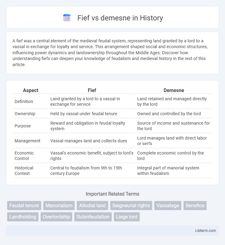 demesne vs Fief in History - What is The Difference?