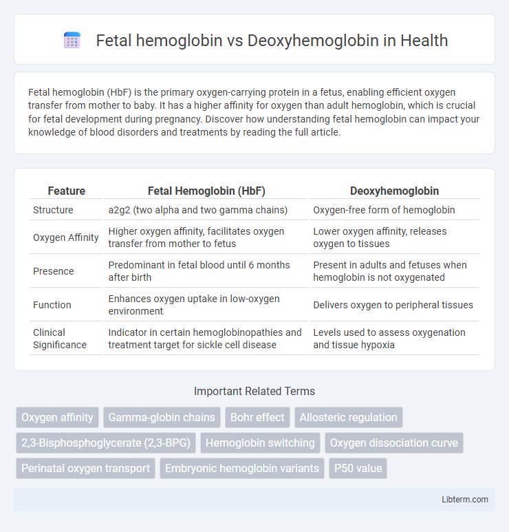 Deoxyhemoglobin vs Fetal hemoglobin in Health - What is The Difference?
