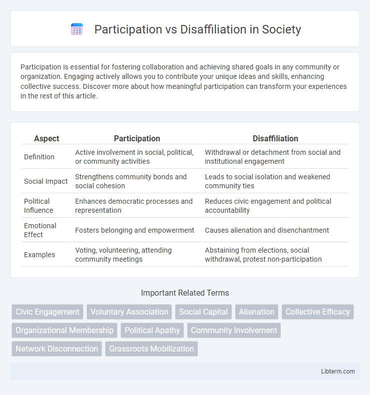 Disaffiliation vs Participation in Society - What is The Difference?