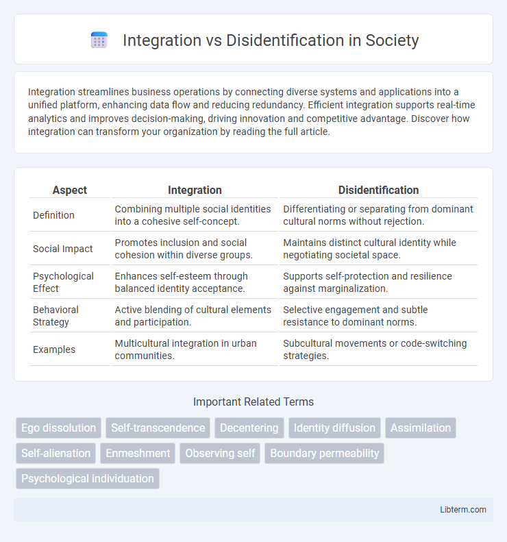 Disidentification vs Integration in Society - What is The Difference?