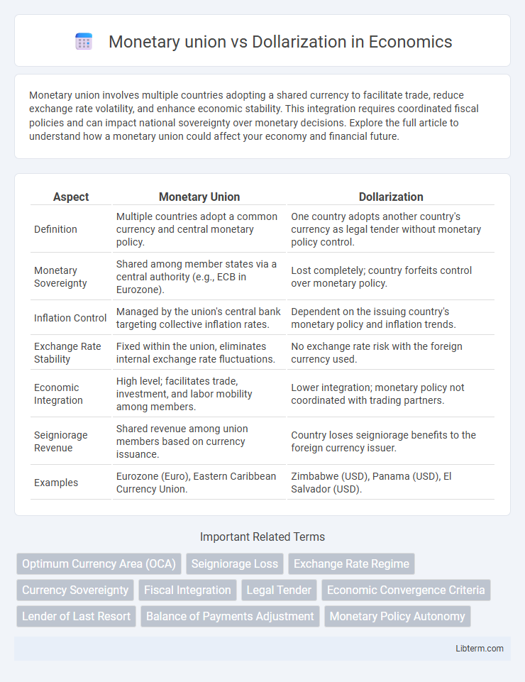 Dollarization vs Monetary union in Economics - What is The Difference?