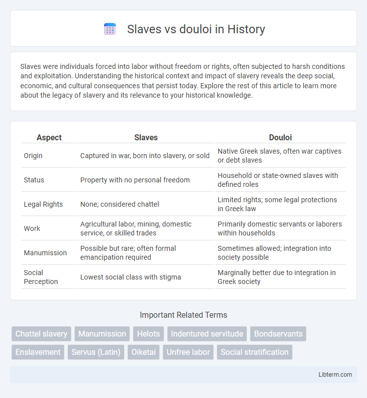 douloi vs Slaves in History - What is The Difference?