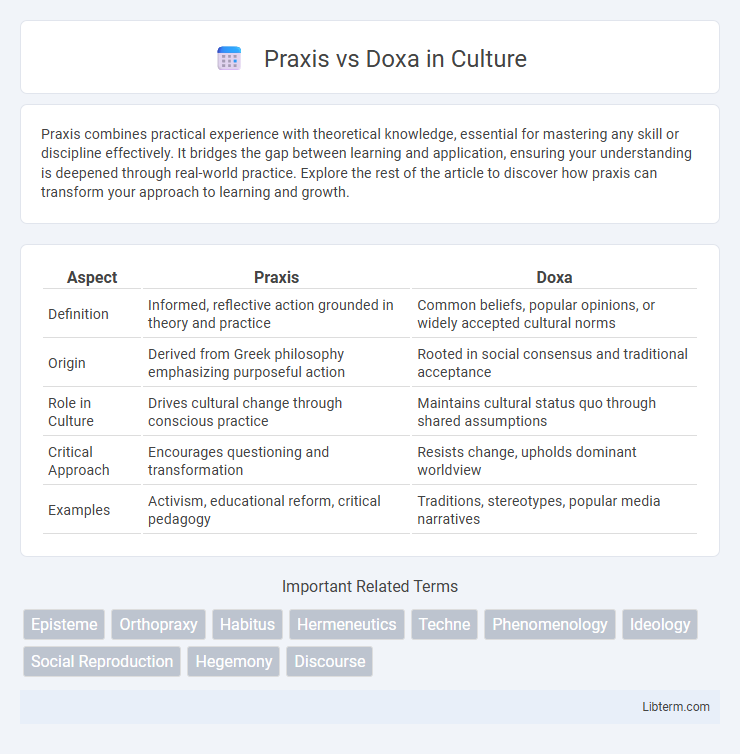 Doxa vs Praxis in Culture - What is The Difference?
