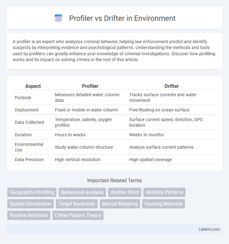Drifter vs Profiler in Environment - What is The Difference?