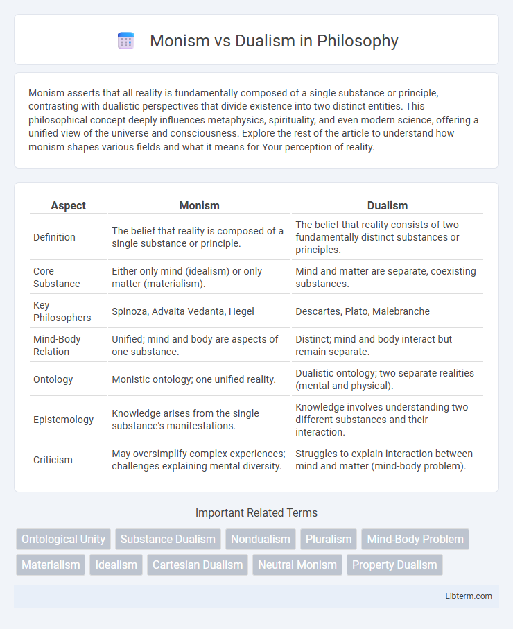 Dualism vs Monism in Philosophy - What is The Difference?