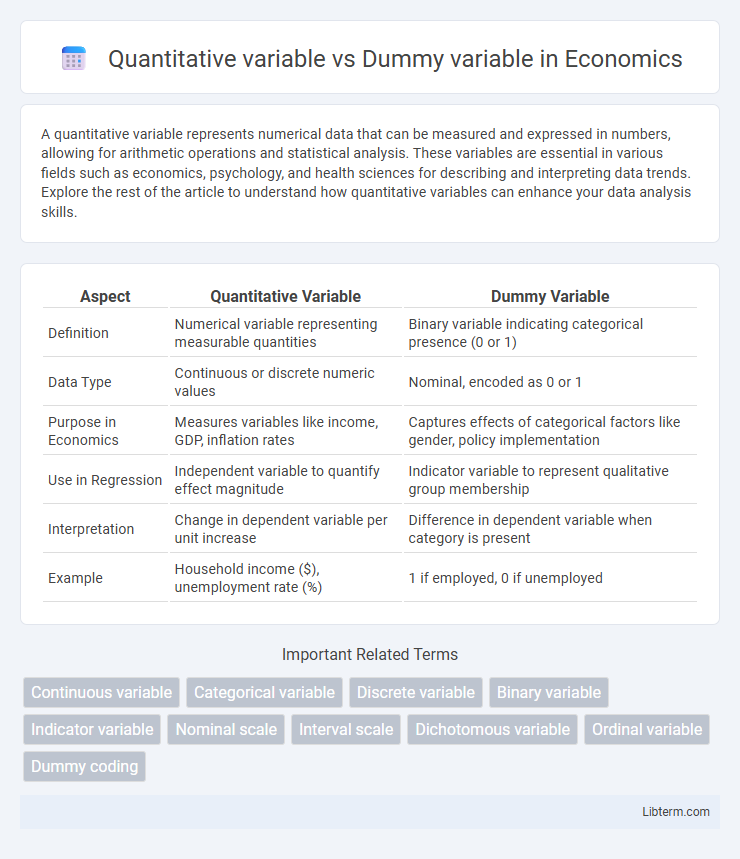 Dummy variable vs Quantitative variable in Economics - What is The Difference?