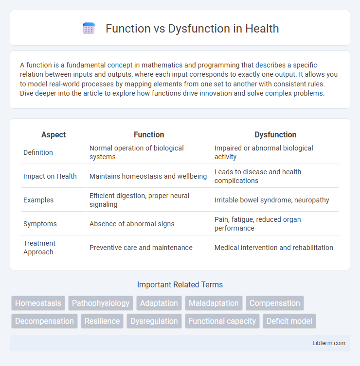 Dysfunction vs Function in Health - What is The Difference?