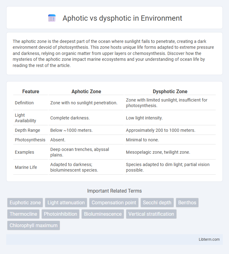 dysphotic vs Aphotic in Environment - What is The Difference?
