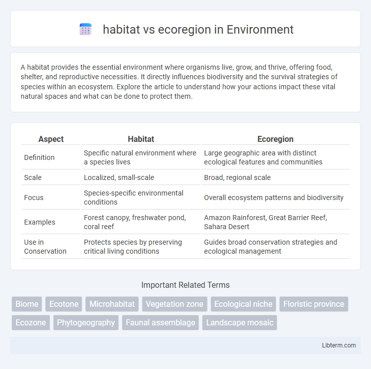ecoregion vs habitat in Environment - What is The Difference?