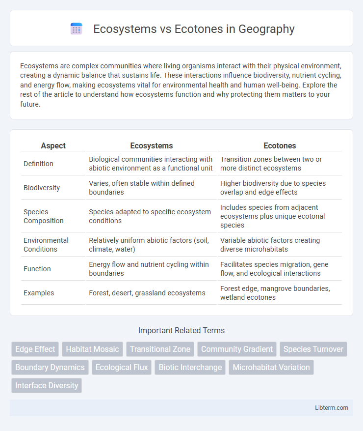 Ecotones vs Ecosystems in Geography - What is The Difference?