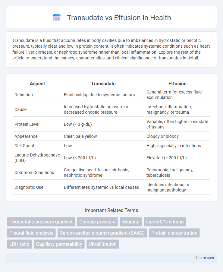 Effusion vs Transudate in Health - What is The Difference?