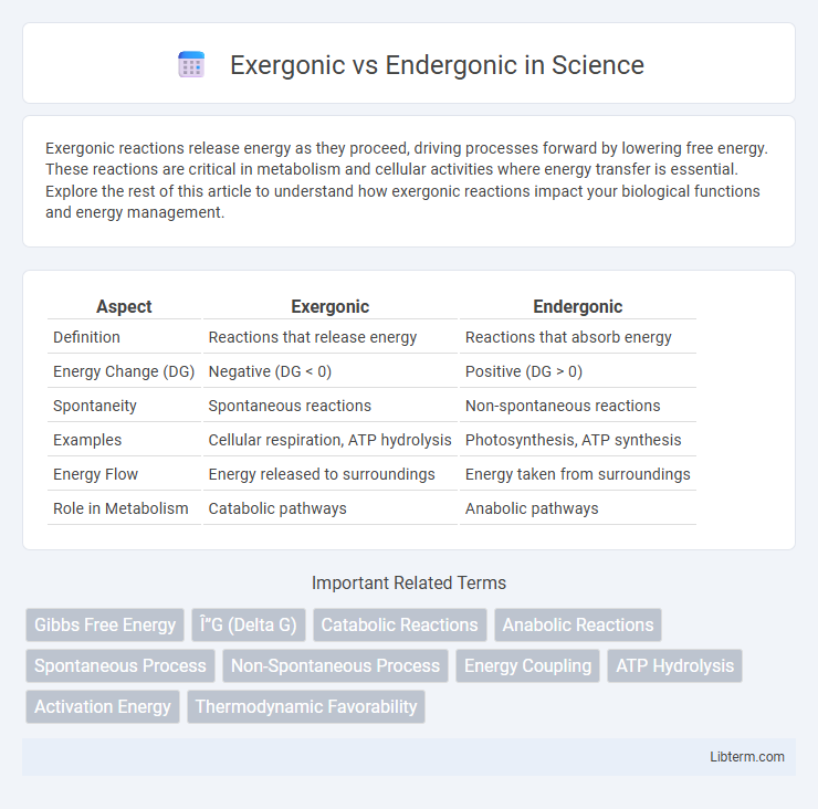 Endergonic vs Exergonic in Science - What is The Difference?