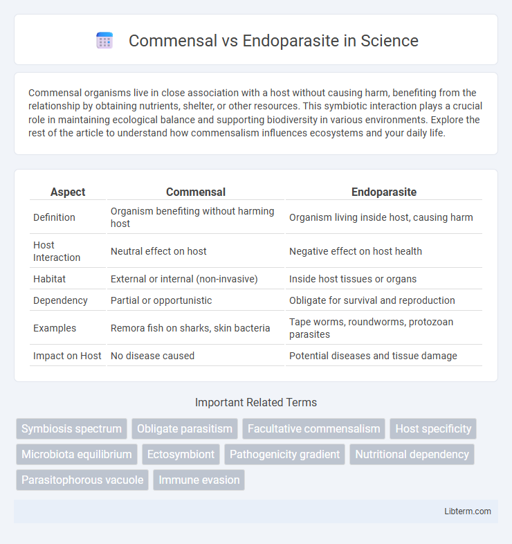 Endoparasite vs Commensal in Science - What is The Difference?