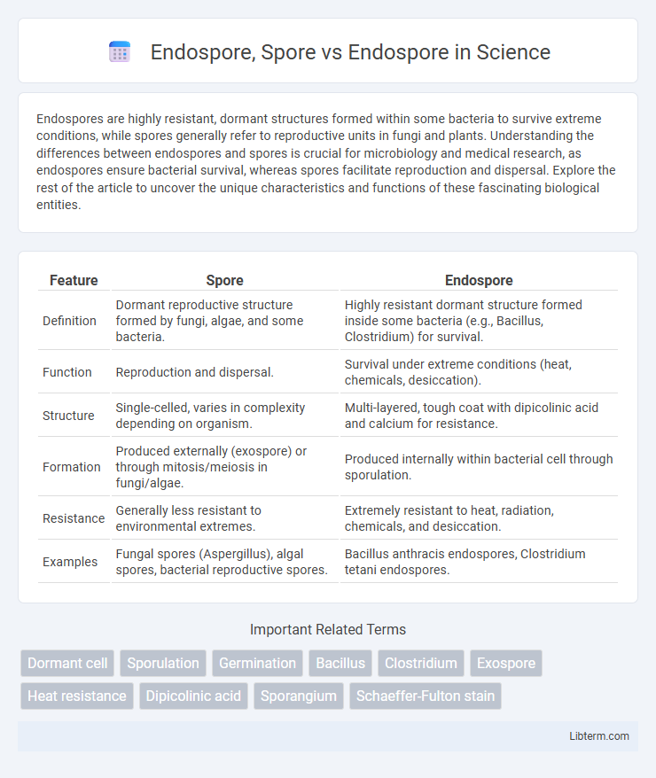 Endospore vs Endospore, Spore in Science - What is The Difference?