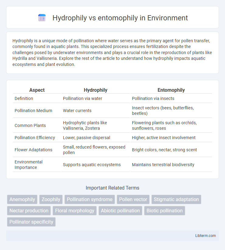 entomophily vs Hydrophily in Environment - What is The Difference?