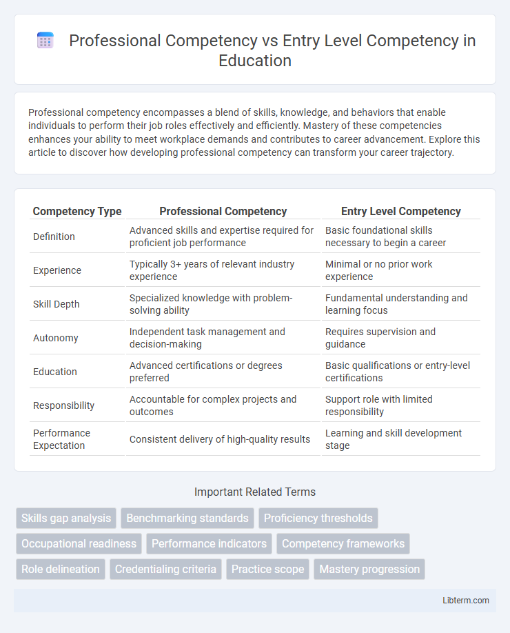 Entry Level Competency vs Professional Competency in Education - What is The Difference?